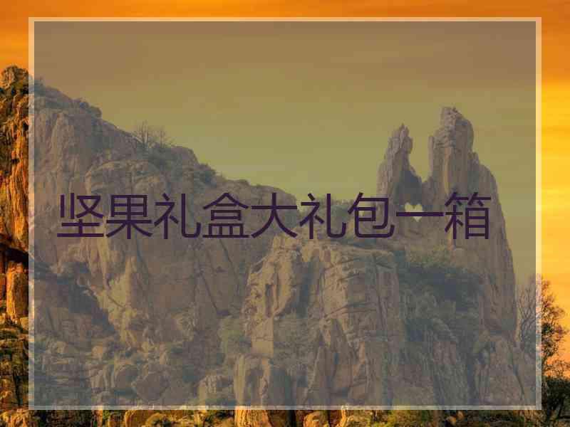 坚果礼盒大礼包一箱