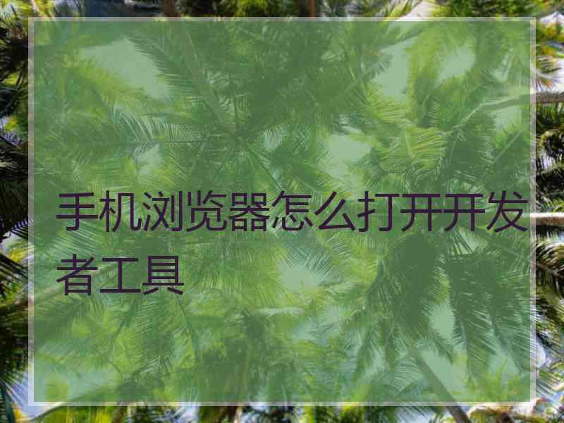 手机浏览器怎么打开开发者工具
