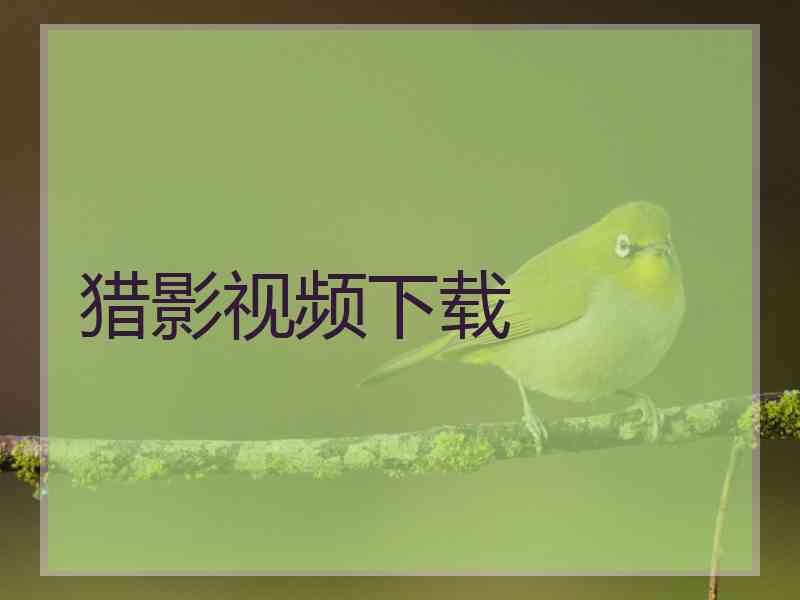 猎影视频下载