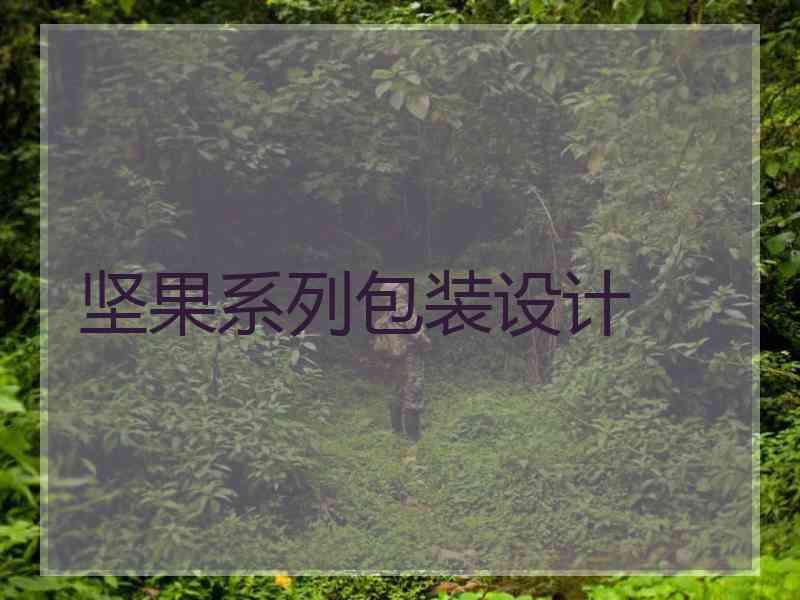 坚果系列包装设计