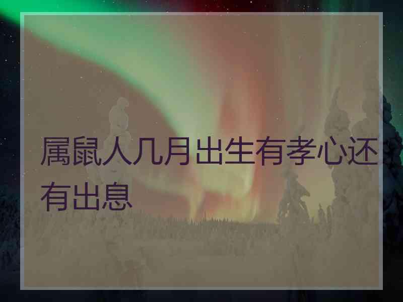 属鼠人几月出生有孝心还有出息
