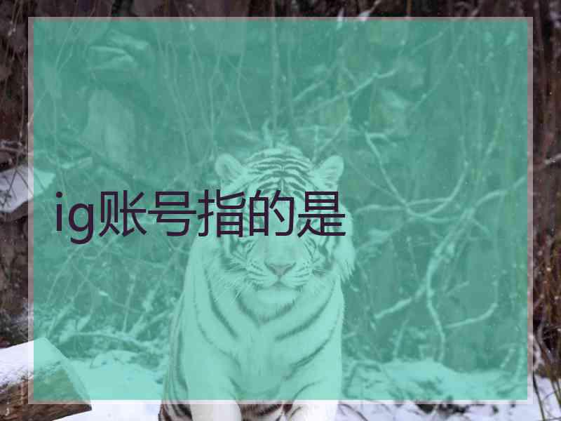 ig账号指的是