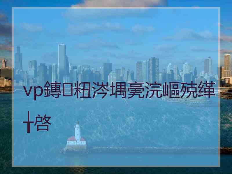 vp鏄粈涔堣亴浣嶇殑缂╁啓