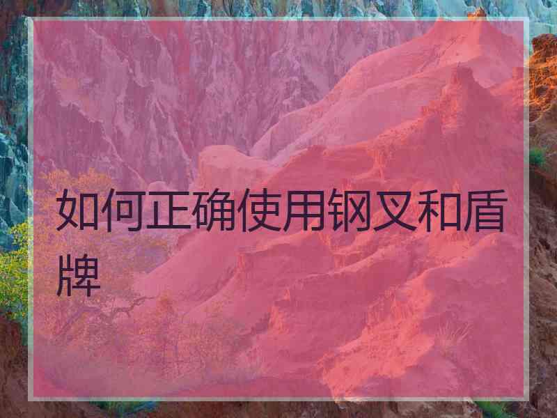 如何正确使用钢叉和盾牌