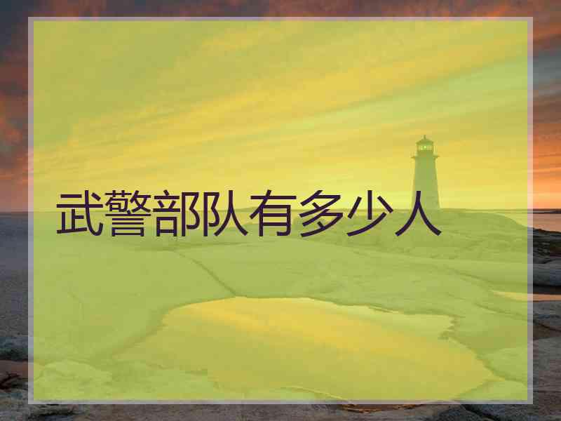 武警部队有多少人