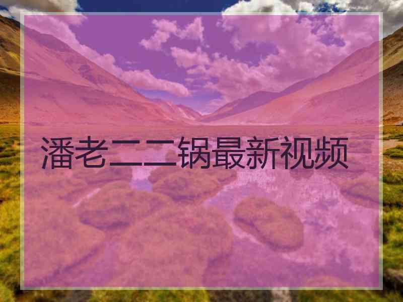 潘老二二锅最新视频