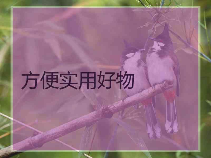 方便实用好物