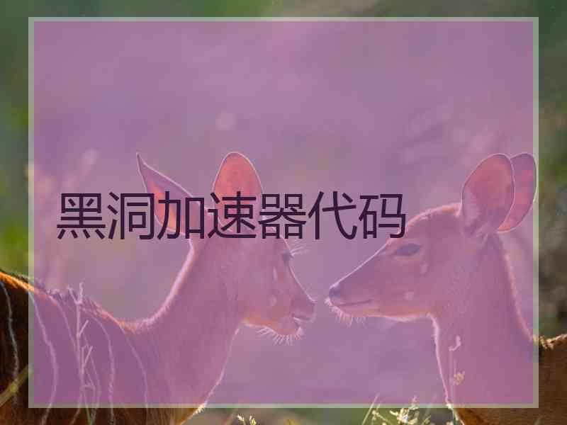黑洞加速器代码