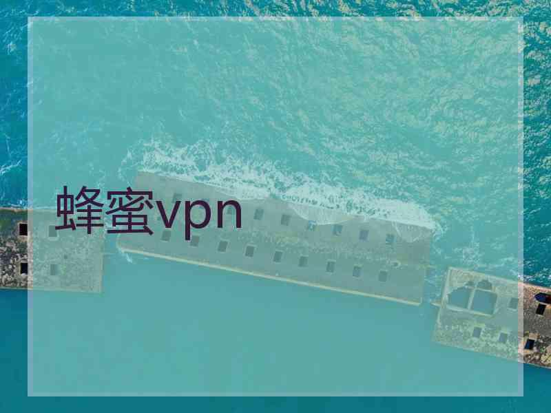 蜂蜜vpn