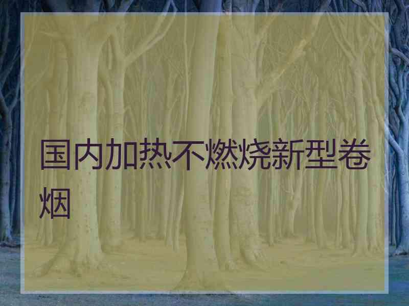 国内加热不燃烧新型卷烟