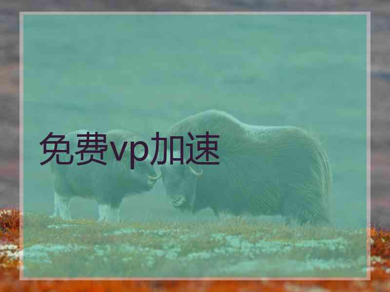 免费vp加速