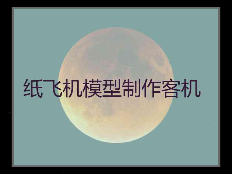 纸飞机模型制作客机