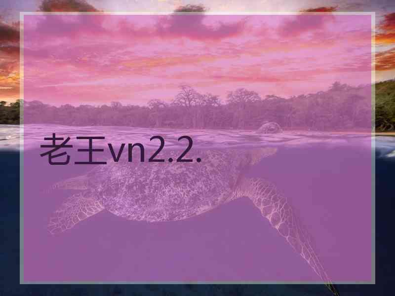 老王vn2.2.