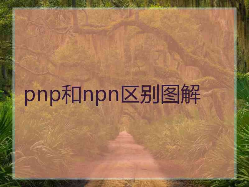 pnp和npn区别图解