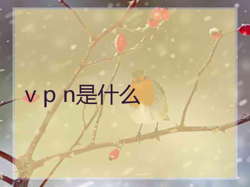 v p n是什么