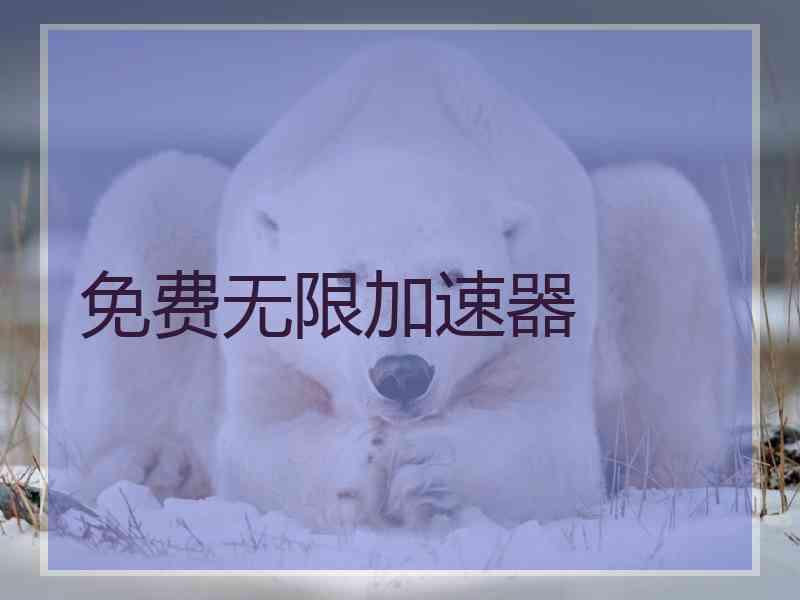 免费无限加速器