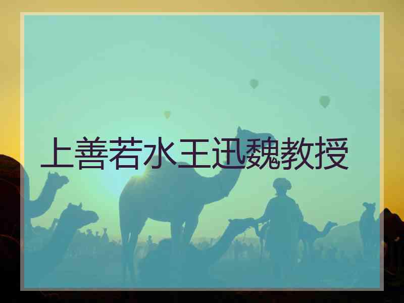 上善若水王迅魏教授