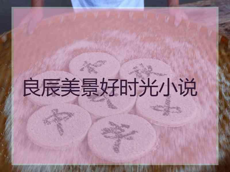 良辰美景好时光小说