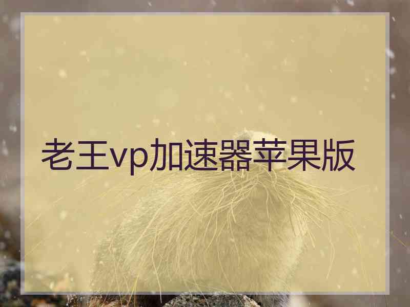 老王vp加速器苹果版
