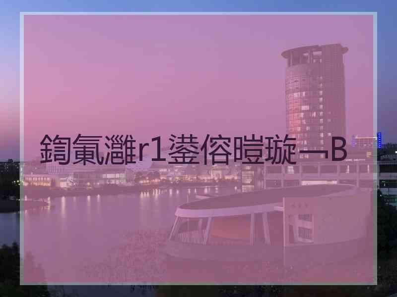 鍧氭灉r1鍙傛暟璇﹁В