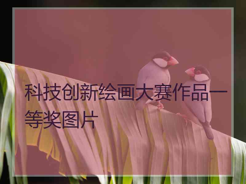 科技创新绘画大赛作品一等奖图片