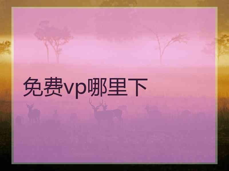 免费vp哪里下