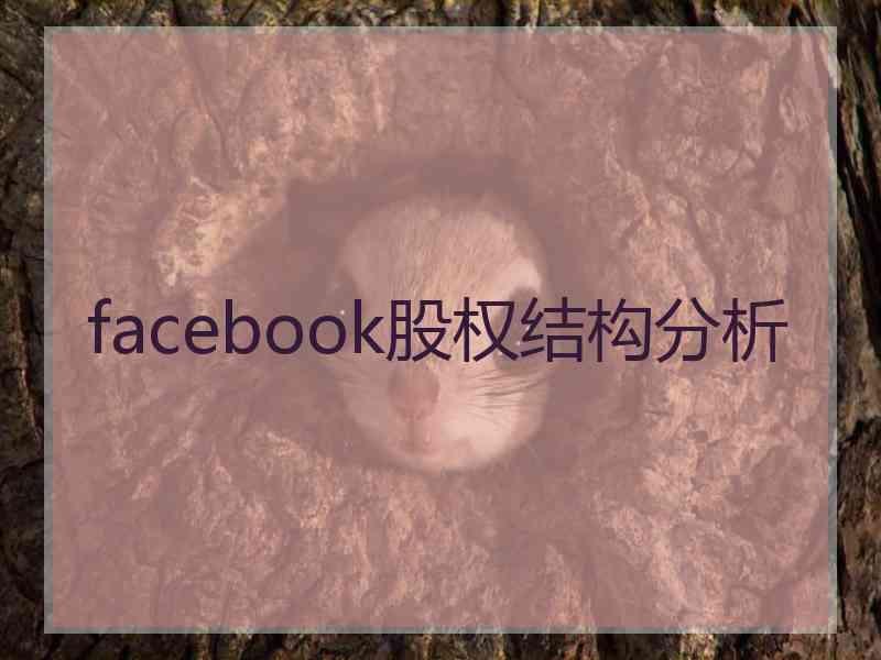 facebook股权结构分析