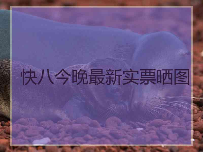 快八今晚最新实票晒图