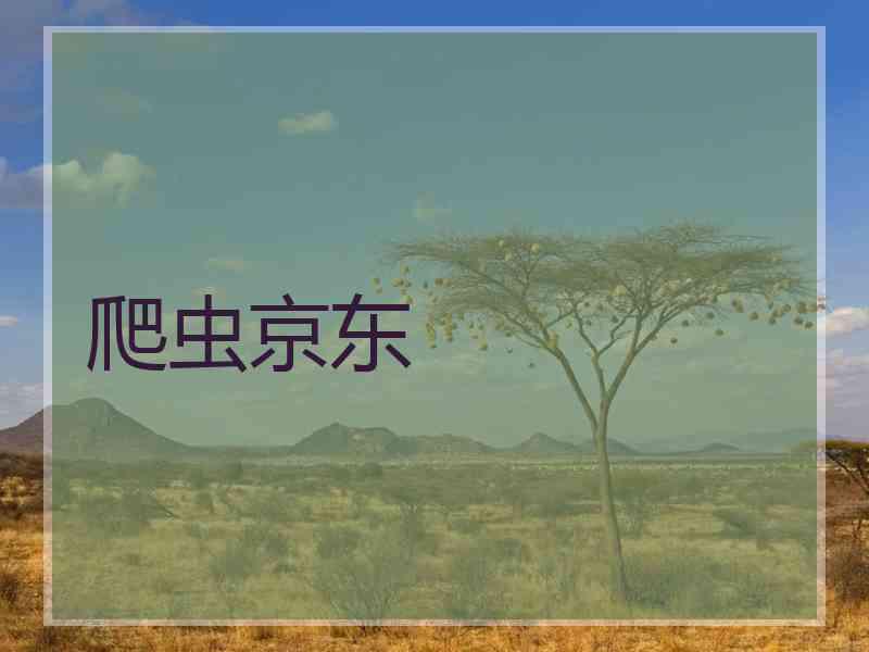 爬虫京东