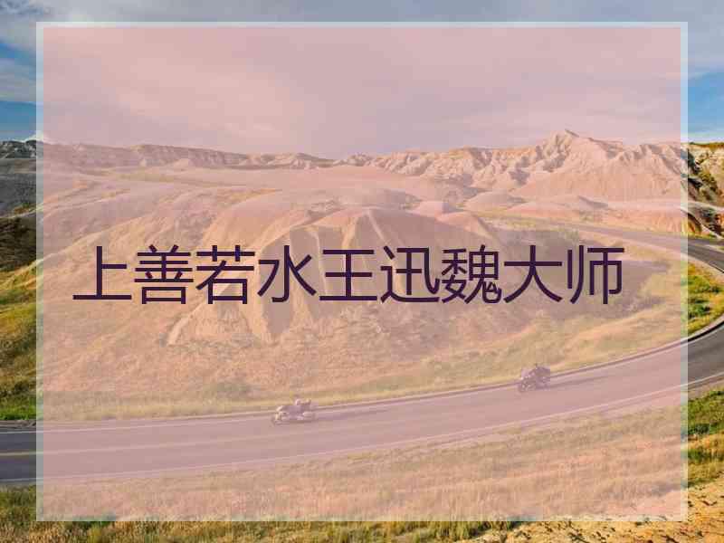 上善若水王迅魏大师