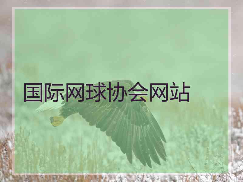 国际网球协会网站