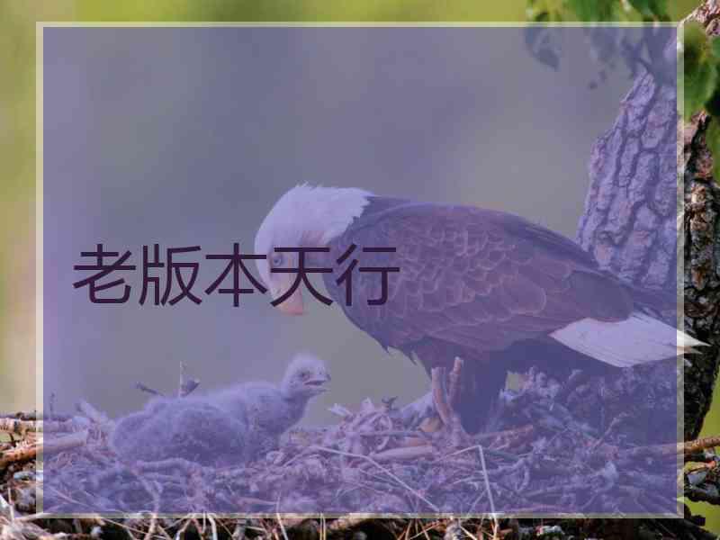 老版本天行
