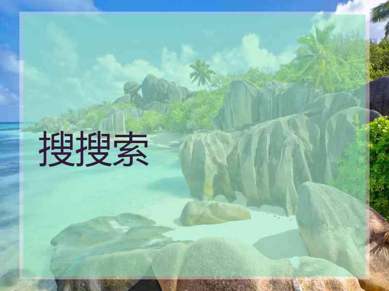 搜搜索