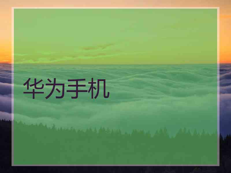 华为手机