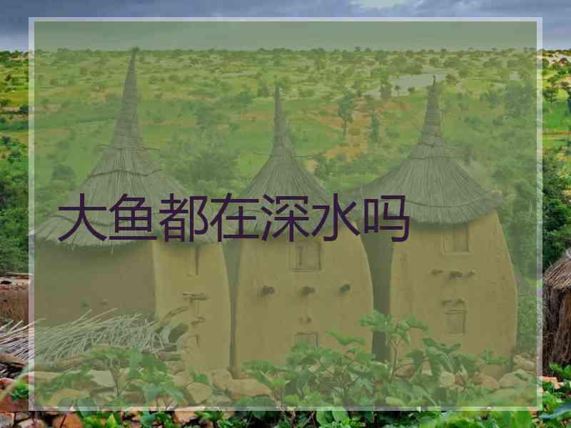 大鱼都在深水吗
