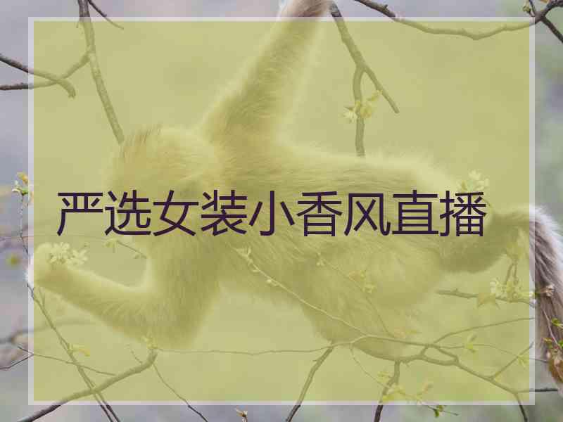 严选女装小香风直播