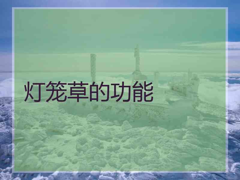 灯笼草的功能