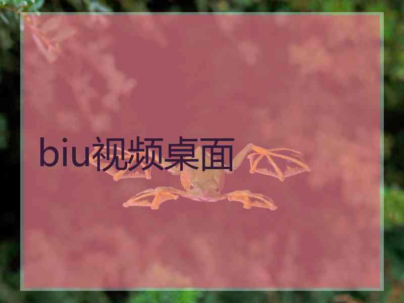 biu视频桌面