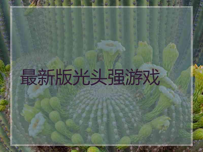最新版光头强游戏