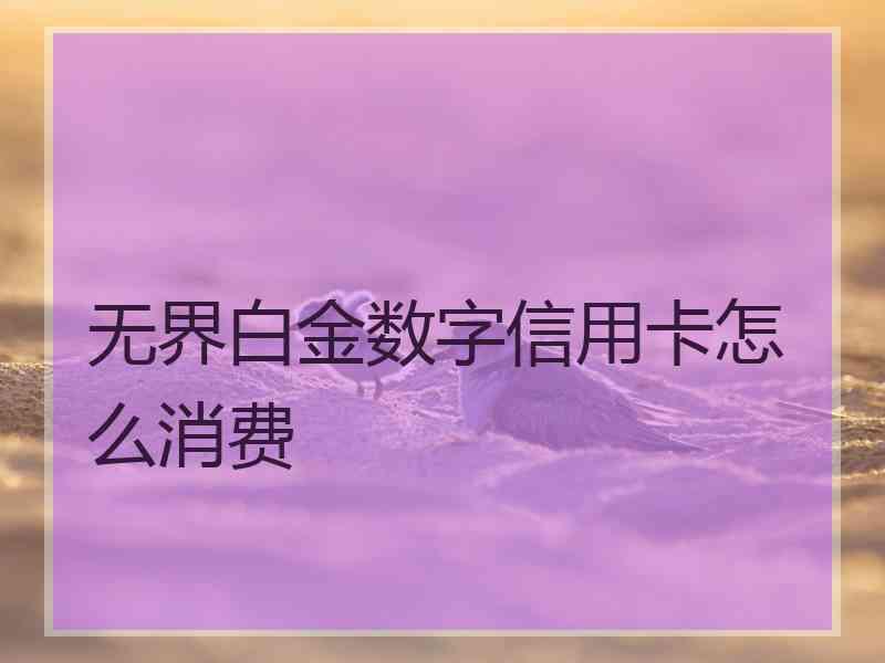 无界白金数字信用卡怎么消费