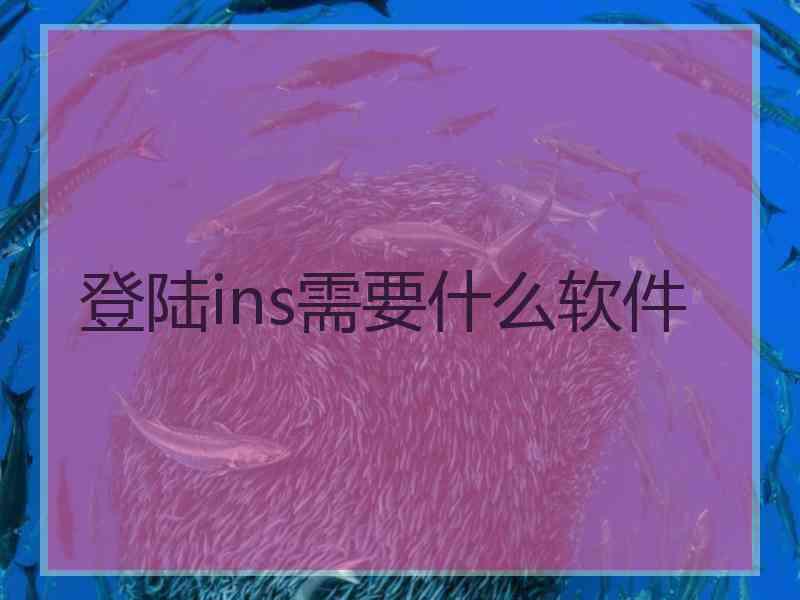 登陆ins需要什么软件