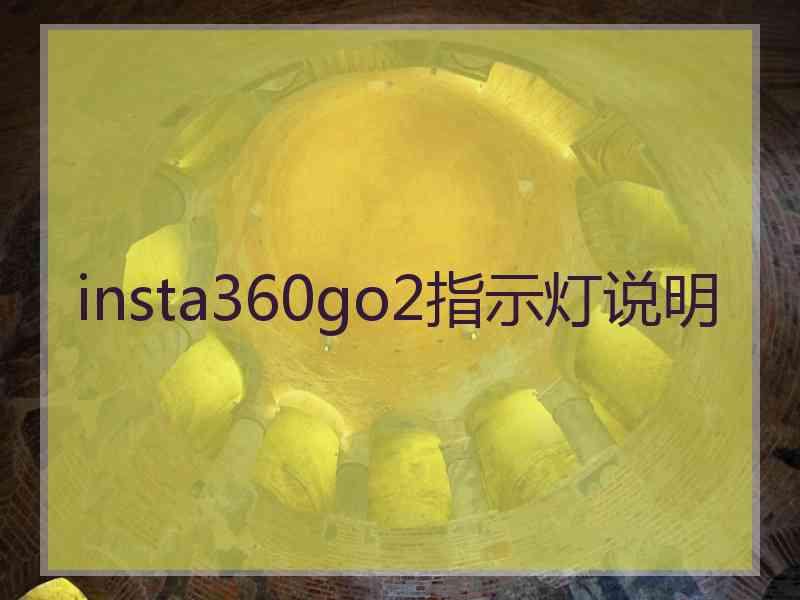 insta360go2指示灯说明
