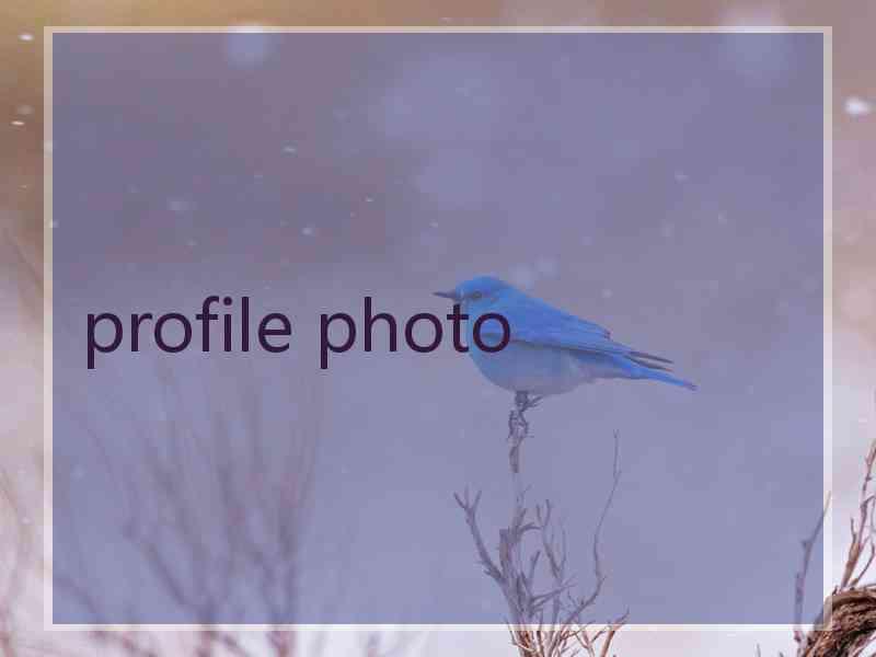 profile photo