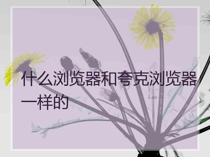 什么浏览器和夸克浏览器一样的