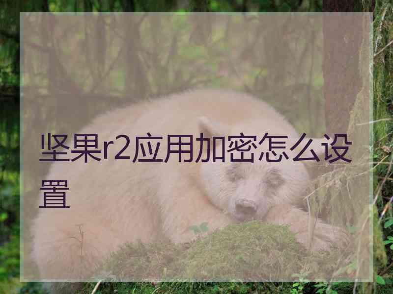 坚果r2应用加密怎么设置
