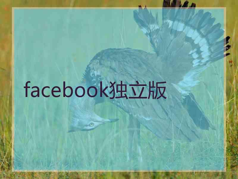 facebook独立版