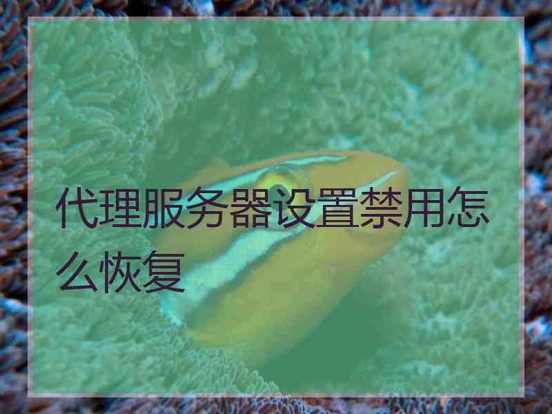 代理服务器设置禁用怎么恢复