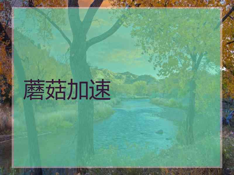 蘑菇加速