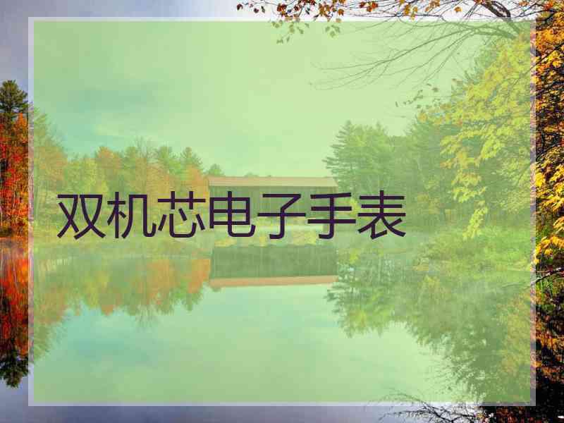 双机芯电子手表