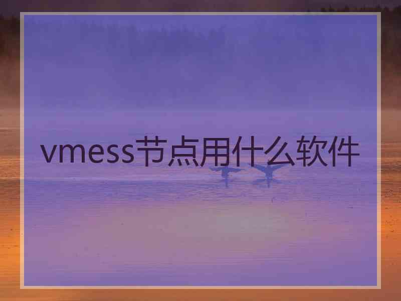 vmess节点用什么软件